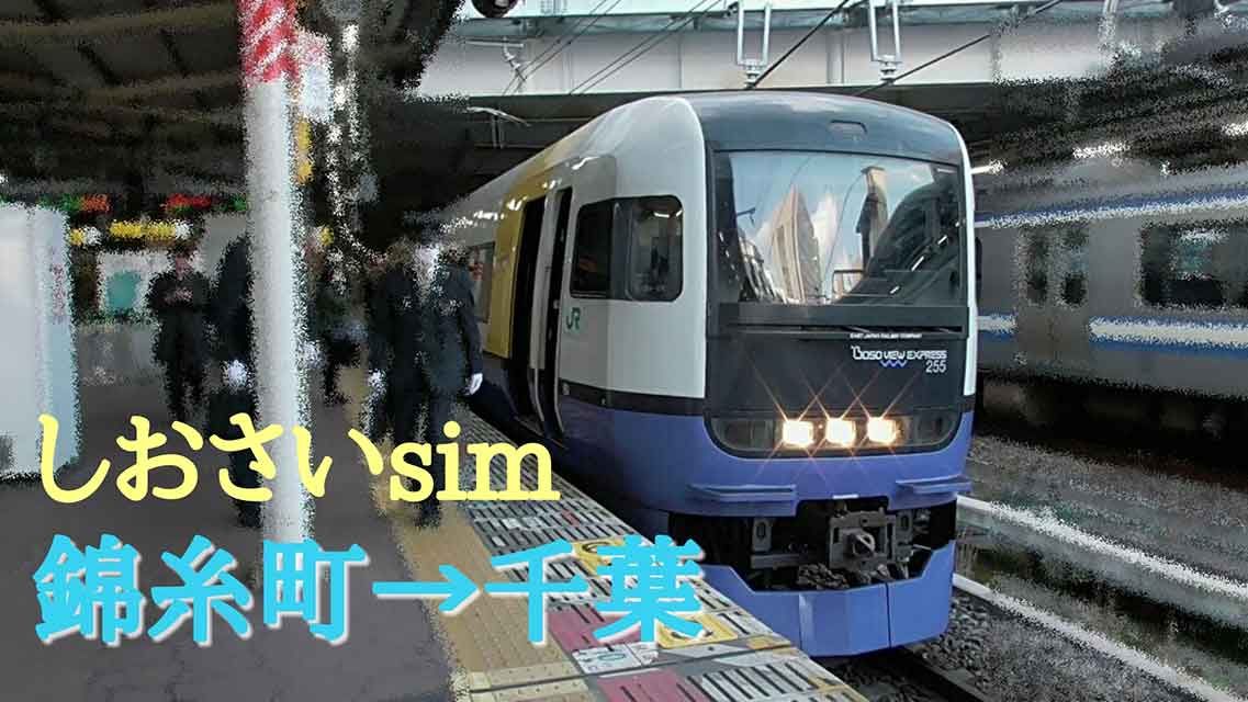 特急しおさい 錦糸町 千葉 For Sensim